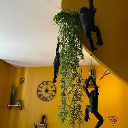 Jungle * Romans-sur-Isère